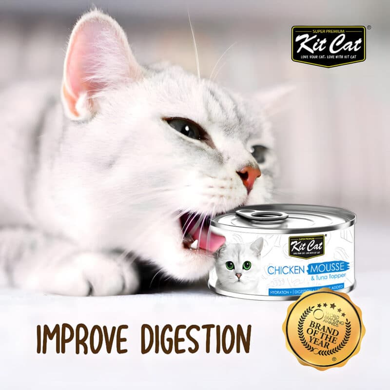 Kit Cat Mousse Topper pet food singapore